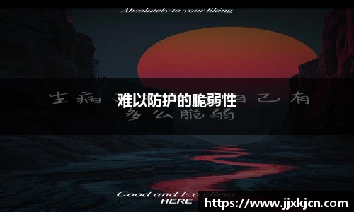 难以防护的脆弱性